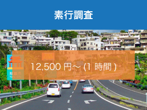 素行調査