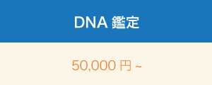 DNA鑑定